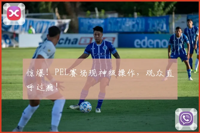 惊爆！PEL赛场现神级操作，观众直呼过瘾！