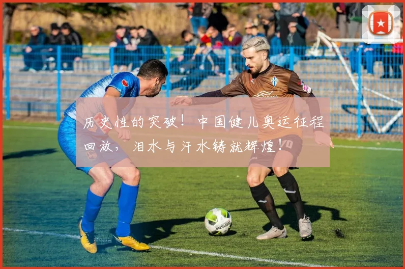 历史性的突破！中国健儿奥运征程回放，泪水与汗水铸就辉煌！