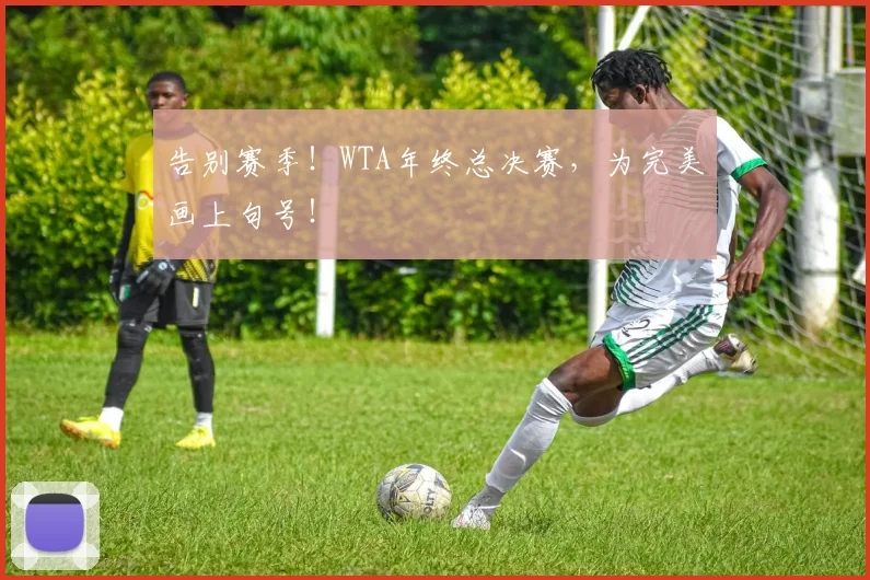 告别赛季！WTA年终总决赛，为完美画上句号！